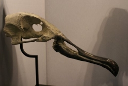 2012 284.jpg