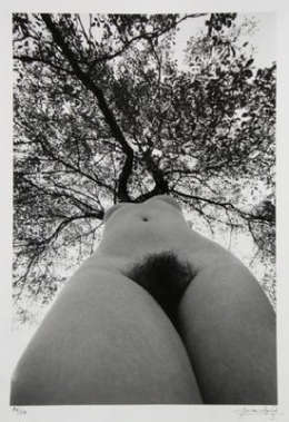 nu femme et arbre lucien clergue.jpg
