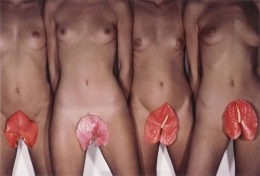 gbourdin_flo.jpg