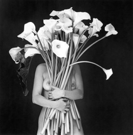 artwork_images_1050_446398_flor-garduno.jpg