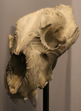 2012 282.jpg