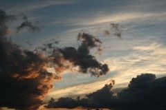 IMG_4483.JPG