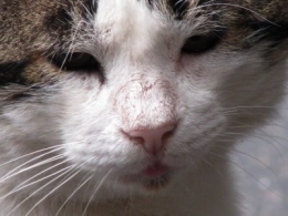 img2579.jpg