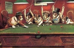 dogsplayingpool460.jpg