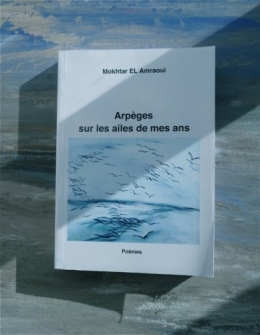 livre et lumière.jpg