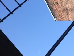 photo.JPG