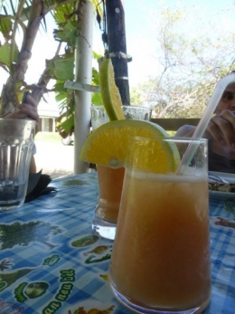 P1000834.jpg