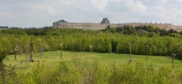 bosquet_etoile-credit_tadzio.jpg