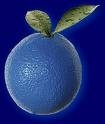 images-4.jpeg