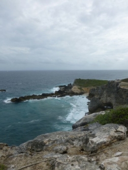 P1000574.jpg