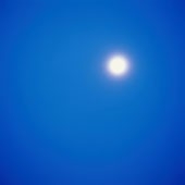 437908741.jpg