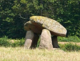1320645453.jpg