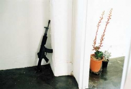 tumblr_lbugye3Tfe1qafzl9o1_500.jpg