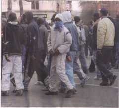 racaille1.jpg