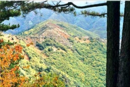 aigoual1.JPG