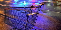 3430503_3_5fa9_en-proposant-de-l-alimentaire-et-du_d5f00704f236b1d134b1bd2e46739abd.jpg