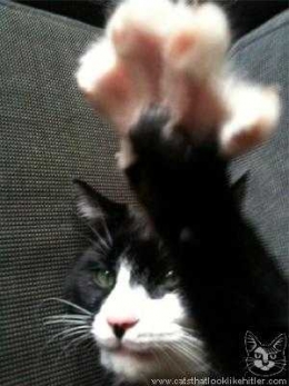 kitler4367.jpg