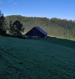 Le_Haut-Doubs_au_lever_du_jour.jpg