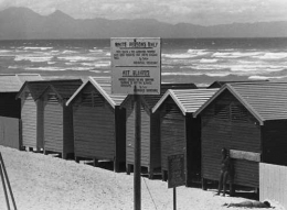 apartheid.jpg