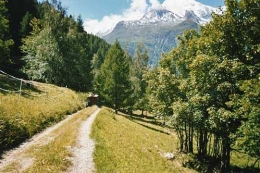 tarentaise.jpg