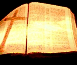 1693619969.jpg