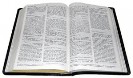 Bible 2.png