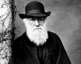 Charles Darwin.jpg