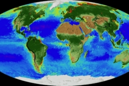 Terre 2.jpg