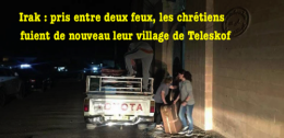 teleskof-une.png