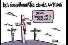 téléchargement.jpg
