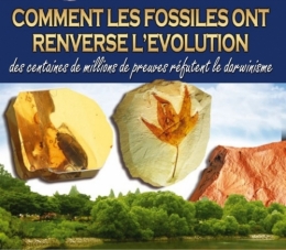CEP 2.jpg