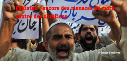 969493-pakistan.png