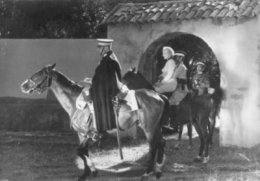 Les pirates du rail.jpg