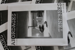 dario argento,abordages