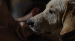 clermont 2015,lotfi achour,kamal lazraq,hallvar witzo,xaver xylophon