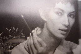 pascal-alex vincent,miwa