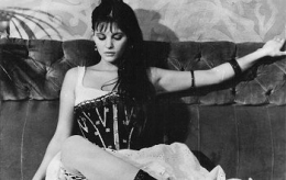 ingmar bergman,jerry lewis,stanley kubrick,robert dhéry,akira kurosawa,anthony mann,sergio léone