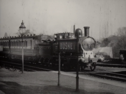 Screenshot_2020-11-10 The Brilliant Biograph (Auteurs divers, 1897-1902) à voir en ligne sur HENRI, la plateforme de nos co[...].png