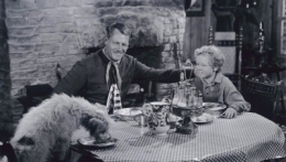 joel mccrea,jesse hibbs,george sherman,kurt neumann