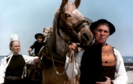 cheval d'orgueil.jpg