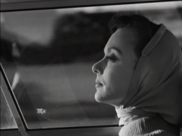 ben maddow,sidney meyers,joseph strick