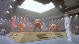 Sumo6.jpg