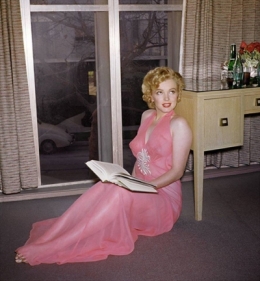 Marilyn rose.jpg
