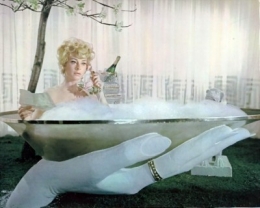 Genevieve Page Decline & Fall of a Bird Watcher1968.jpg