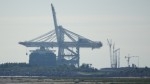 port du havre porte conteneurs.JPG