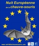 nuit chauve-souris 2010.jpg