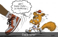 mascotte de stb.jpg