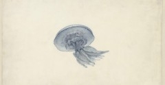 70055_1.jpg