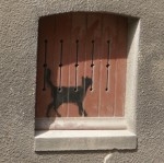 DSC03912.JPG
