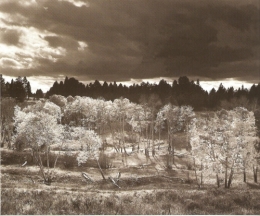 HUDAK  BOB TREMBLES WYOMING.jpg